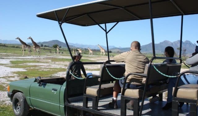 Drink top Cap Classique and view game at Villiera Wines