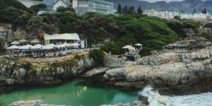 If Hermanus is the riviera of the South, then Ficks is the reason why