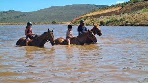 Honingklip Equestrian | Horse Riding time out with Beer tasting for 2