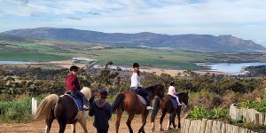 Honingklip Equestrian | Horse Riding time out with Beer tasting for 2