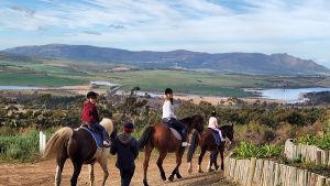 Honingklip Equestrian | Horse Riding time out with Beer tasting for 2