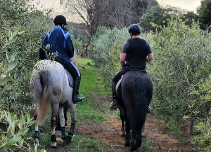 Honingklip Equestrian | Horse Riding time out with Beer tasting for 2