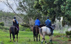 Honingklip Equestrian | Horse Riding time out with Beer tasting for 2