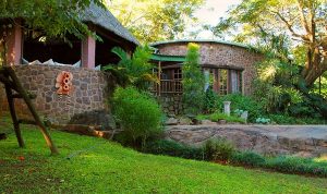 Treehouse River Lodge | 1 night anytime stay for two