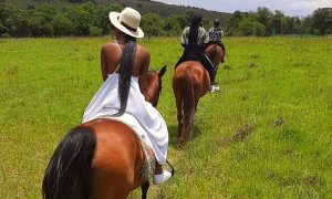 Riverside Stables | Horse Riding Experience for 2