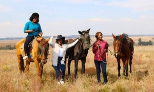 ESDA | 60-Minute Horse Safari Ride for 2