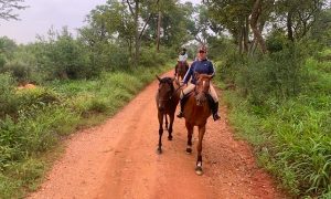 Riverside Stables | Horse Riding Experience for 2