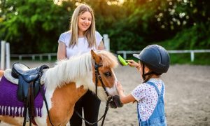 ESDA | Full day pony camp for kids including lunch x 1