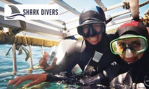 Shark Divers | Shark Cage Diving Experience for One Including Breakfast and Snacks