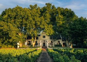 Nederburg Wines | Manor Wine Tasting  | 5 Wines