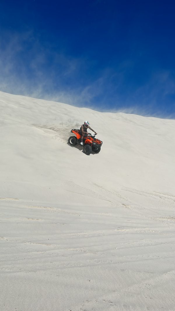 Wild X | Quad bike dune adventure for 4