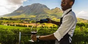 Top 10 Wine Farms with Tastings in Cape Town