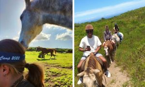 Heavenly Stables | 1-Hour scenic trail horse ride for 2