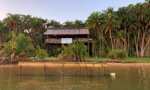 Umtamvuna River Lodge | 90-Minute wakeboarding and stand-up paddle boarding experience for 1