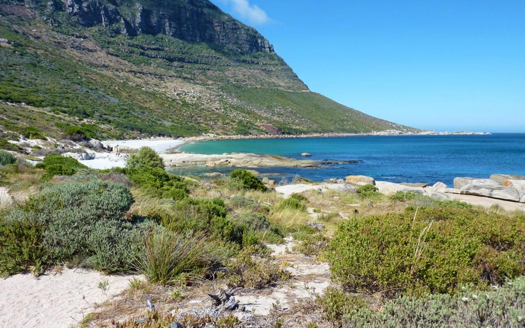 What Are The Best Beaches in Cape Town