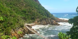 Best Things to do on The Garden Route, South Africa