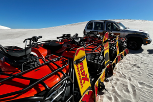 Wild X | Sandboarding Experience for 2