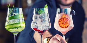 Tantalizing Gin Tastings in Cape Town