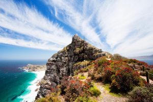 Queer Eye Tours | Cape Peninsula Tour Incl Wine Tasting, Lunch and Wildlife Sightseeing