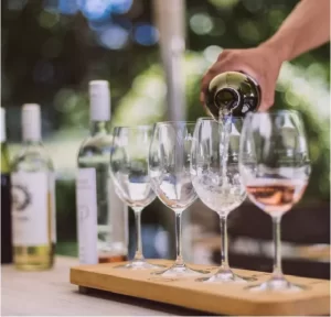 Queer Eye Tours | Wine Tasting in Franschoek Incl Lunch and Drinks for 4