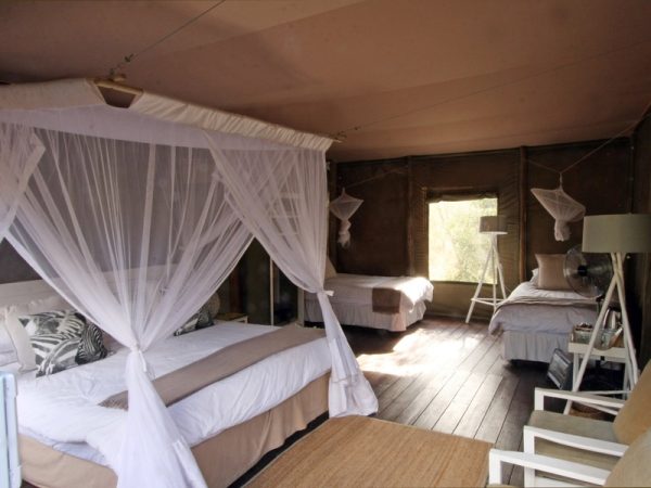 Ngama Tented Safari Lodge | Kruger Park: 2 Night stay for two including all meals, picnic, massage, guided walk and more