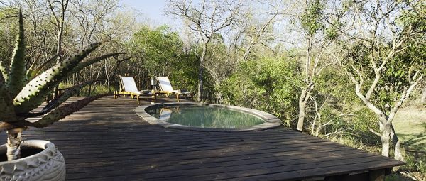 Ngama Tented Safari Lodge | Kruger Park: 2 Night stay for two including all meals, picnic, massage, guided walk and more