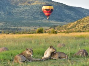 Mankwe GAMETRACKERS | A Safari Hot Air Balloon Experience Including Breakfast and Bubbly for 1