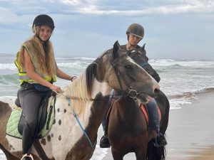 Garys Beach Horse Rides | Beach Horse Ride For 1