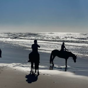 Garys Beach Horse Rides | Beach Horse Ride For 1