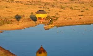 Mankwe GAMETRACKERS | A Safari Hot Air Balloon Experience Including Breakfast and Bubbly for 1