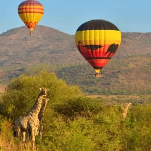 Mankwe GAMETRACKERS | A Safari Hot Air Balloon Experience Including Breakfast and Bubbly for 1