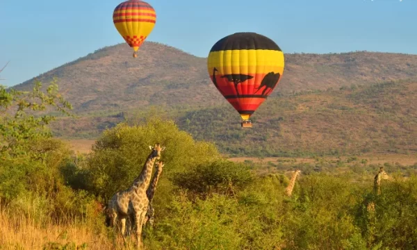 Mankwe GAMETRACKERS | A Safari Hot Air Balloon Experience Including Breakfast and Bubbly for 1