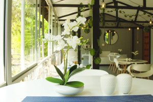 Natlife Wellness Retreat Centre | Enchanted Body package Incl A Healthy Lunch + Fresh Juice for 2