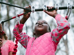 Acrobranch | 2 hr Full Access To All The Treetop Adventures Of The Park  For 1