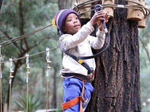 Acrobranch | 2 hr Full Access To All The Treetop Adventures Of The Park  For 1