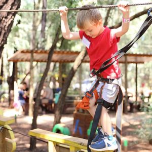 Acrobranch | 2 hr Full Access To All The Treetop Adventures Of The Park  For 1