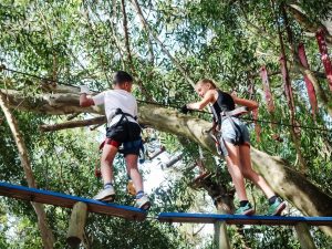 Acrobranch | 2 hr Full Access To All The Treetop Adventures Of The Park  For 1