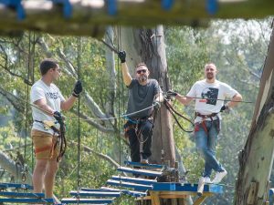 Acrobranch | 2 hr Full Access To All The Treetop Adventures Of The Park  For 1