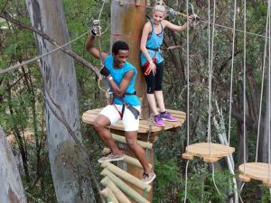 Acrobranch | 2 hr Full Access To All The Treetop Adventures Of The Park  For 1