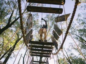 Acrobranch | 2 hr Full Access To All The Treetop Adventures Of The Park  For 1