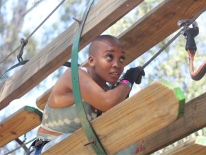 Acrobranch | 2 hr Full Access To All The Treetop Adventures Of The Park  For 1