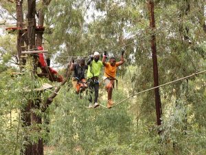 Acrobranch | 2 hr Full Access To All The Treetop Adventures Of The Park  For 1