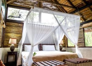 Royal Thonga Safari Lodge | Escape To The Wild Package For 2 Incl All Meals and Game Drive