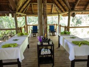 Royal Thonga Safari Lodge | Escape To The Wild Package For 2 Incl All Meals and Game Drive