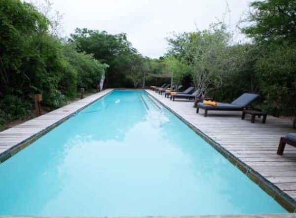 Royal Thonga Safari Lodge | Escape To The Wild Package For 2 Incl All Meals and Game Drive