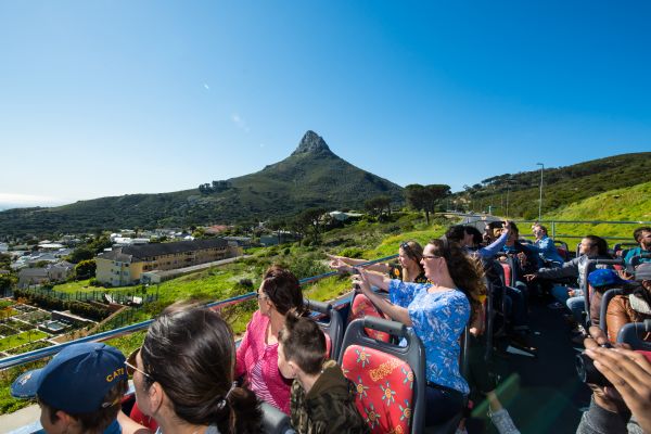 Lions Head View From Bus Tour