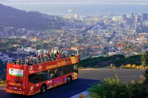 City Sightseeing Tours | Cape Town 1-day Hop-On-Hop-Off classic ticket for 1