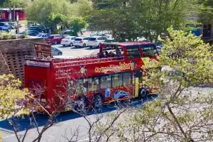 City Sightseeing Tours | JHB 1-day Hop-On-Hop-Off classic ticket for 1