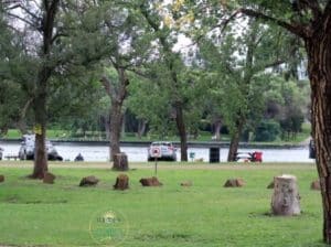 The View On Vaal Resort | A 1 Hr Cruise Incl Full Day Pass on The Resort for Braaing, Fishing, Swimming For 2